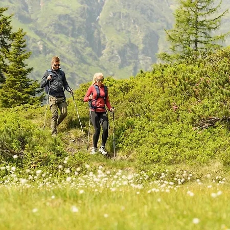 Aktivhotel Gasteiner Einkehr Hotel 4*